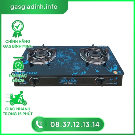 Bếp gas đôi Bluestar NG-679V 